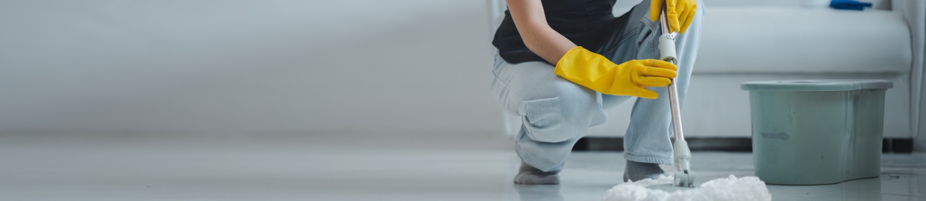 Service Area Background